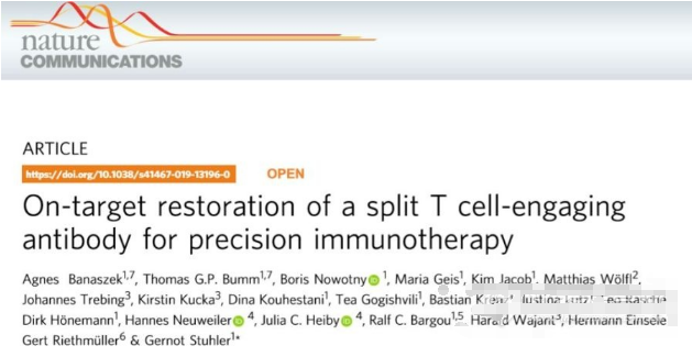 与T细胞结合的抗体衍生物靶向修复用于精准免疫治疗