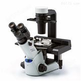 奥林巴斯倒置生物显微镜CKX53