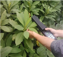LAM-G活体叶面积测量仪植物叶绵积检测仪