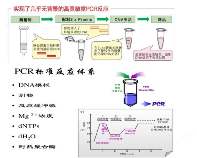 抗亚碲酸盐大肠杆菌:型PCR进口试剂盒